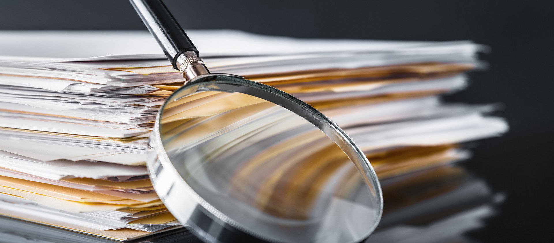 Экспертиза стоимости доли участника общества